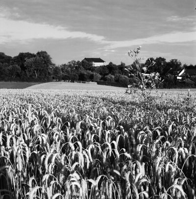 "Der grüne Hügel" med Festspielhaus' enkla arkitektur resande sig ur grönskan.